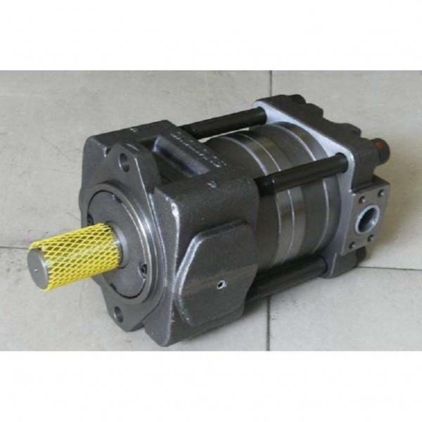 QT2323-6.3-6.3MN-S1162-A Pompë hidraulike gear