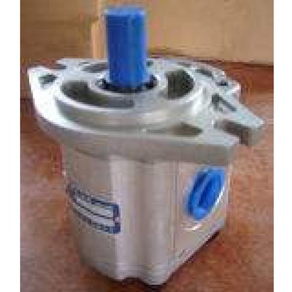QT2323-6.3-6.3MN-S1162-A Pompë hidraulike gear