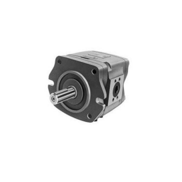 R918C02383 AZPF-22-022LRR20MB Pompë hidraulike gear